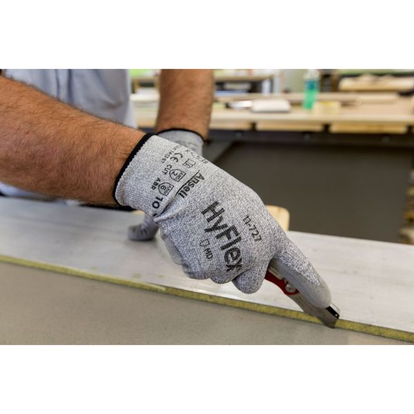Cut Resistant Coated Gloves, A2 Cut Level, Polyurethane, L, 1 PR