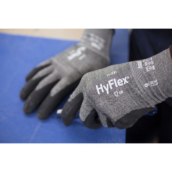 Cut Resistant Coated Gloves, A2 Cut Level, Nitrile, L, 1 PR