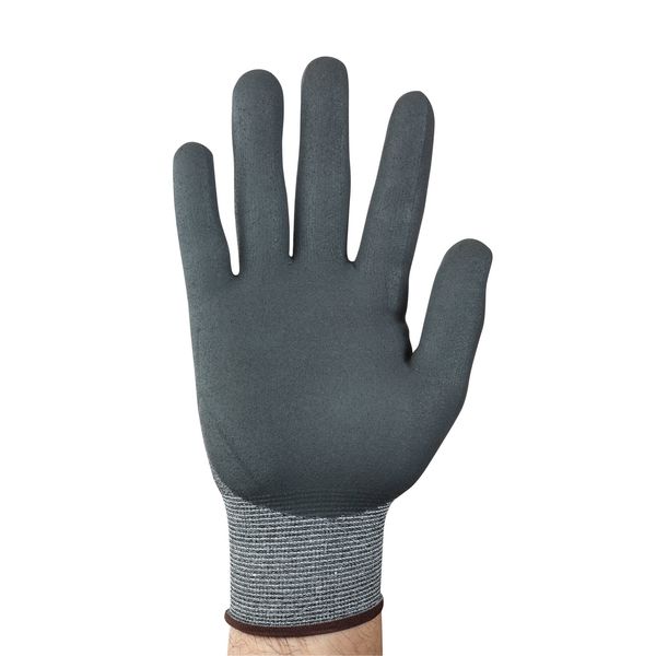 Cut Resistant Coated Gloves, A2 Cut Level, Nitrile, L, 1 PR