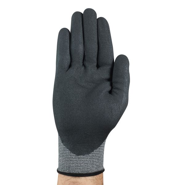 Cut Resistant Coated Gloves, A2 Cut Level, Nitrile, L, 1 PR