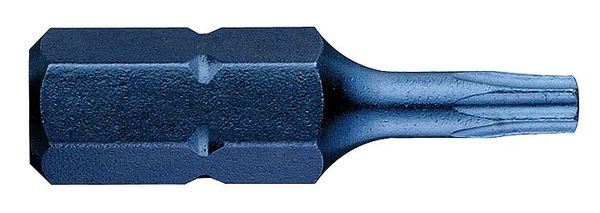 Torsion Bit, SAE, 1/4