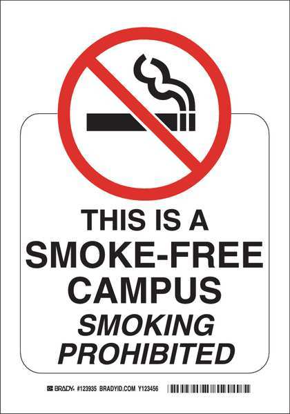 No Smoking Sign, 14 in H, 10