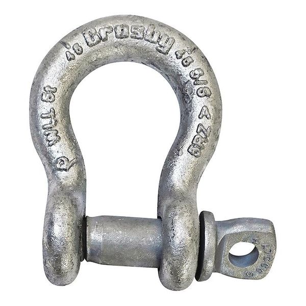Anchor Shackle, Screw Pin, 1-1/2