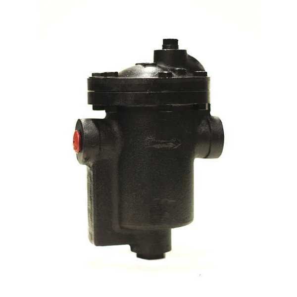 Steam Trap, 3/4
