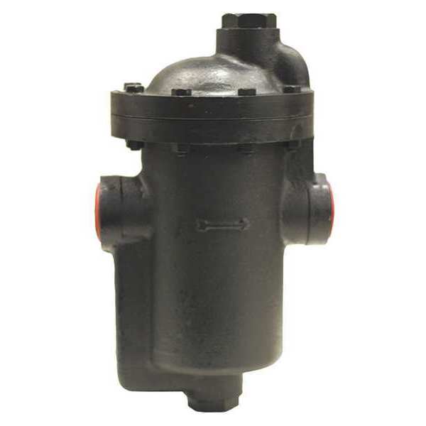 Steam Trap, 1-1/4