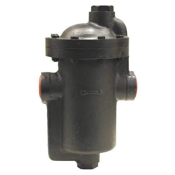 Steam Trap, 1-1/4