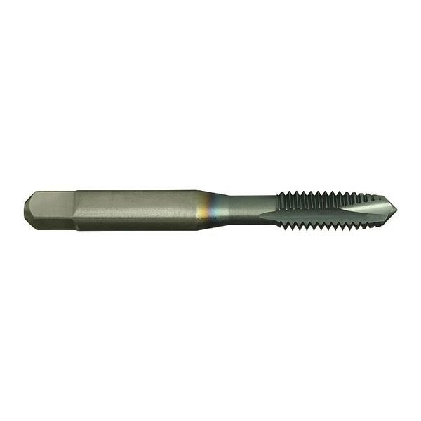 Spiral Point Tap, #8-32, Plug, UNC, 2 Flutes, Steam Oxide