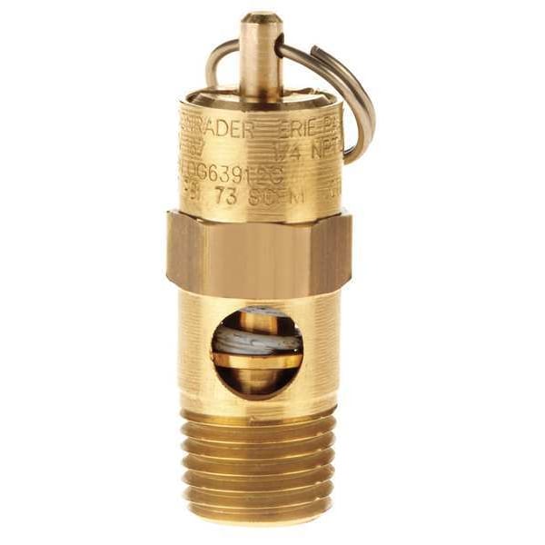 Pressure Relief Valve, 100 PSI