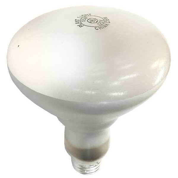 Heat Lamp, 65/75W, 120V