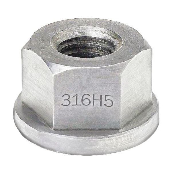 Flange Nut, 3/8