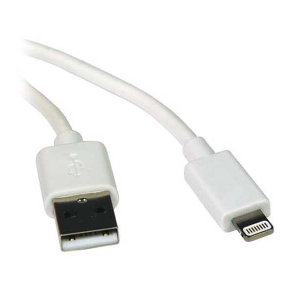 Charging Cable, Apple Lightning, White, 3ft