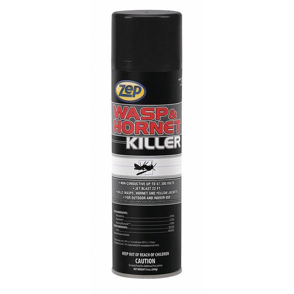 13 oz. Aerosol Indoor/Outdoor Wasp and Hornet Killer, PK12
