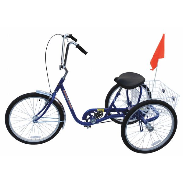 Bicycle, 250 lb Cap., Blue, 24