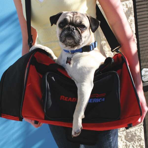 Dog Emergency Kit, 1 Dog Served