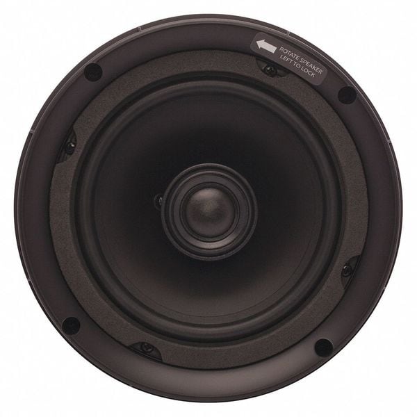 Speaker, White, 120 Max. Wattage