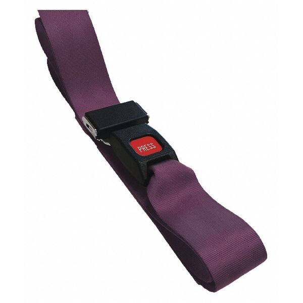 Strap, Maroon, 5 ft. L x 2-1/2
