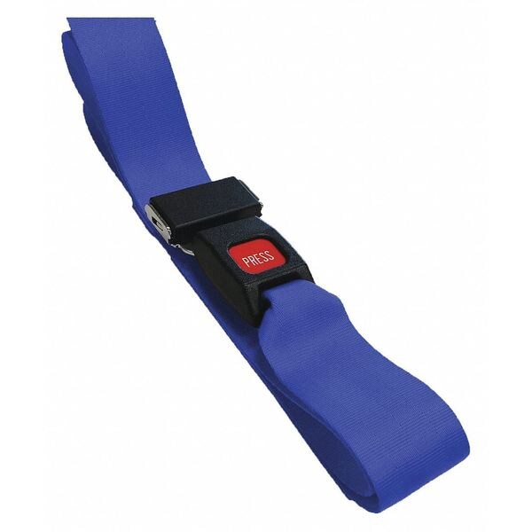 Strap, Blue, 9 ft. L x 2-1/2
