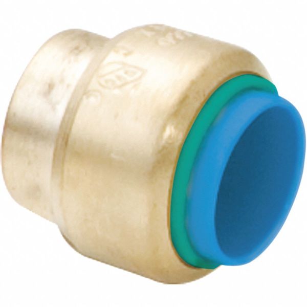 PEX Cap, 3/4 in Tube Size