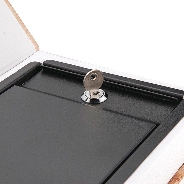 Diversion Book Safe, 0.11 cu ft, 2.45 lb