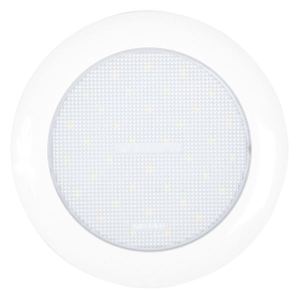 Cargo Light, 13/32 in. D, 36 Bulbs