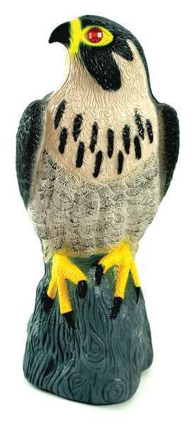 Visual Bird Repellers, Falcon Decoy
