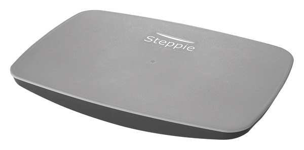 Balance Board, Plastic, Gray, 14-1/2 in. D
