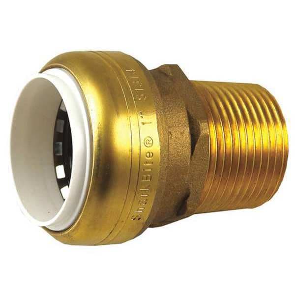 DZR Brass Male Adapter, 1