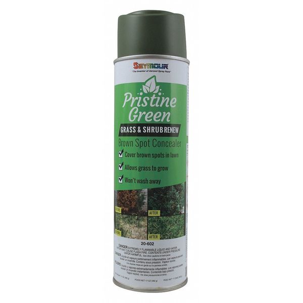 Specialty Spray Paint, 17 Oz, Green, Water -Based