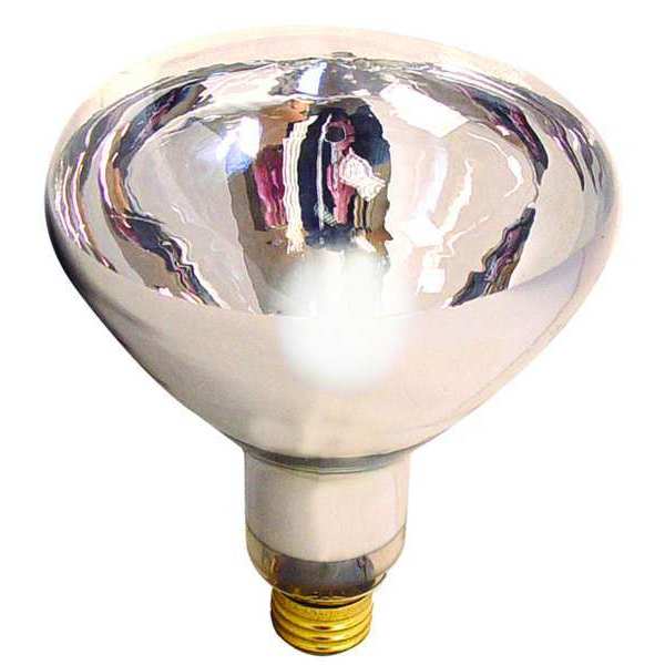Reflector Lamp, R40 Bulb Shape, 300 lm