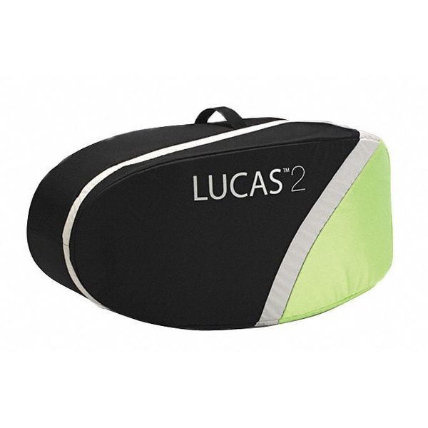 Carrying Bag, 20