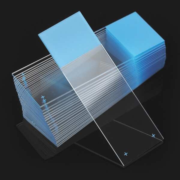 Microscope Slide, Blue, 25x75mm, PK72