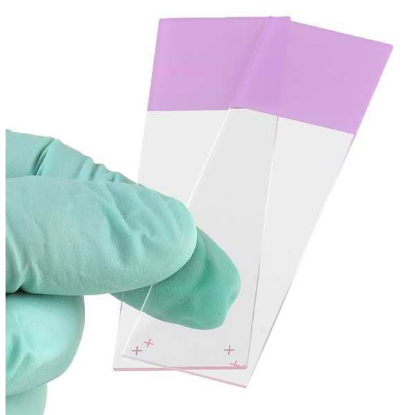 Microscope Slide, Lilac, 25x75mm, PK72