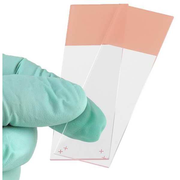 Microscope Slide, Orange, 25x75mm, PK72