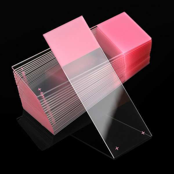 Microscope Slide, Pink, 25x75mm, PK72