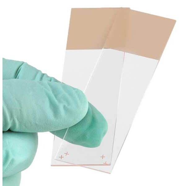 Microscope Slide, Tan, 25x75mm, PK72