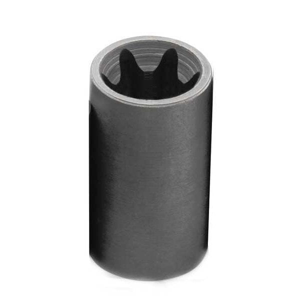 3/8 in Drive, E16 Female Torx(R) SAE Socket, 6 Points