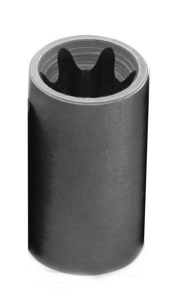 1/2 in Drive, E20 Female Torx(R) SAE Socket, 6 Points