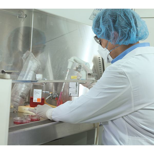 Strl Clnrm Glvs, Polyisoprene, 9, PK200