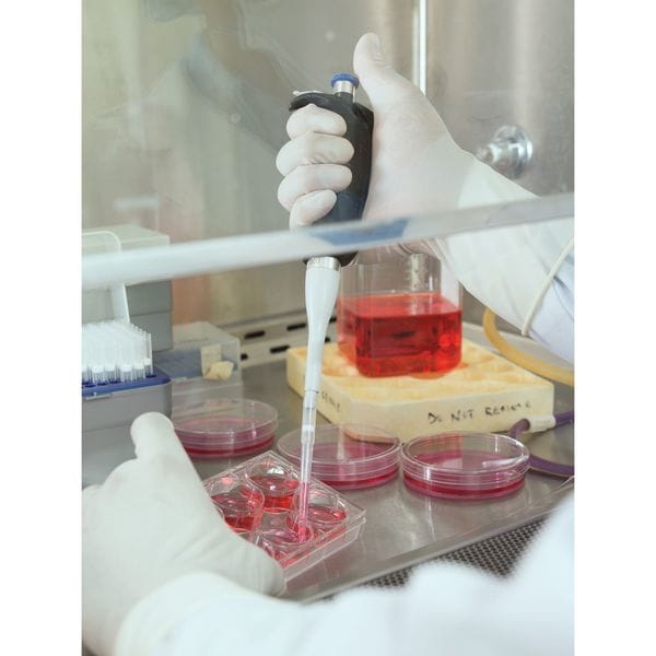 Strl Clnrm Glvs, Polyisoprene, 8.5, PK200