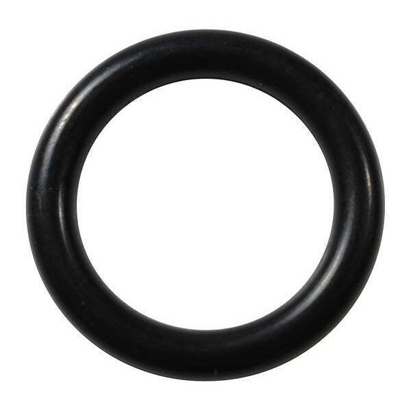 O-Ring, D111