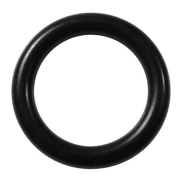 O-Ring, D111