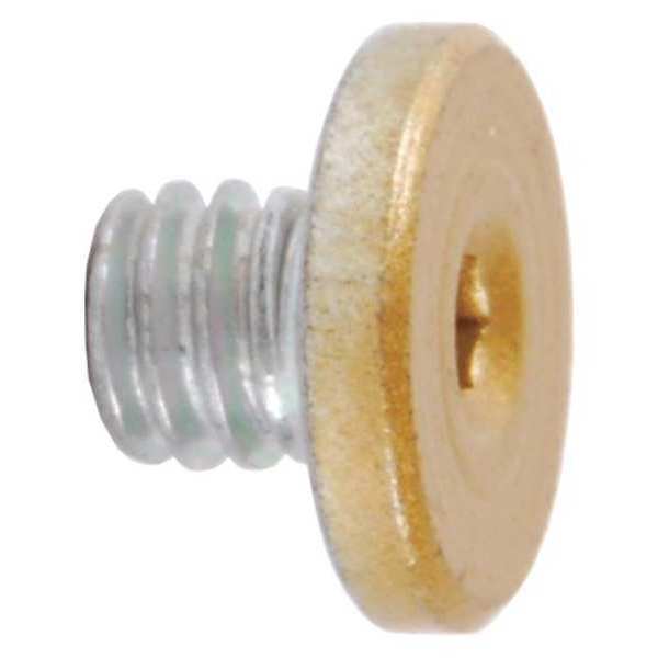 Cover Screw, Brass, Brass, 1/4 in. L