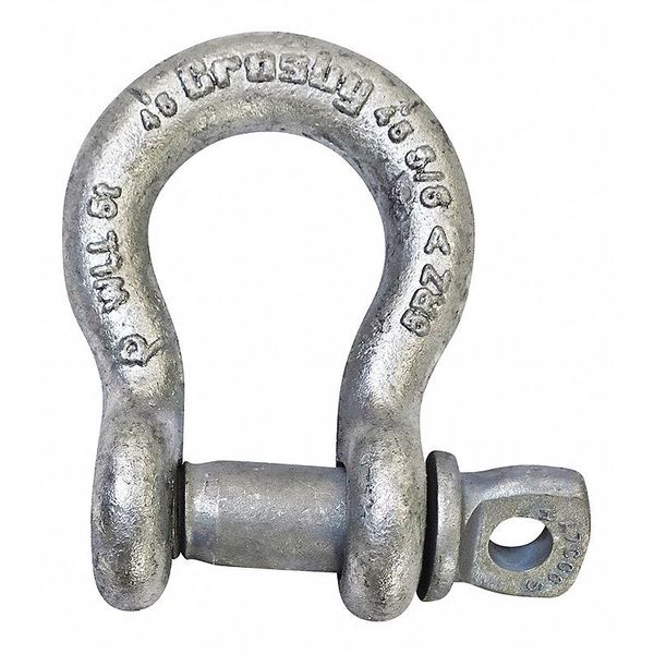 Shackle, 5/8 in., 10,000 lb., Screw Pin