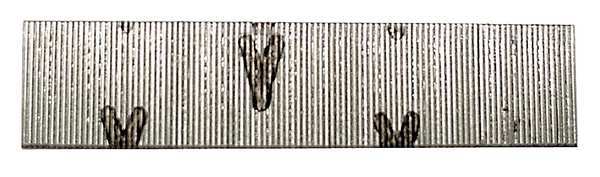 Collated Pin Nail, 5/8 in L, 23 ga, Galvanized, Headless Head, Straight, 2600 PK