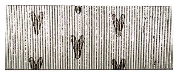 Collated Pin Nail, 1 in L, 23 ga, Galvanized, Headless Head, Straight, 2600 PK