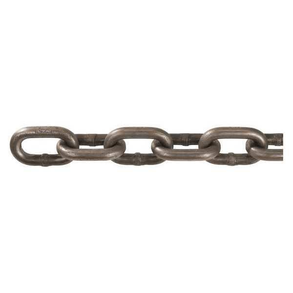 Chain, Hight Test, 100 ft., 3900 lb.