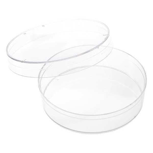 Petri Dish, Polystyrene, 7mL, 1 Well, PK500