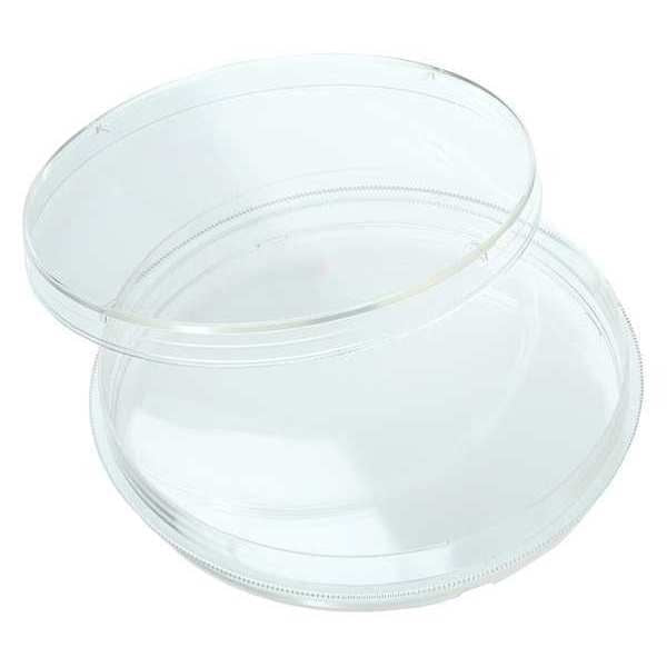 Petri Dish, Polystyrene, 1 Well, PK300