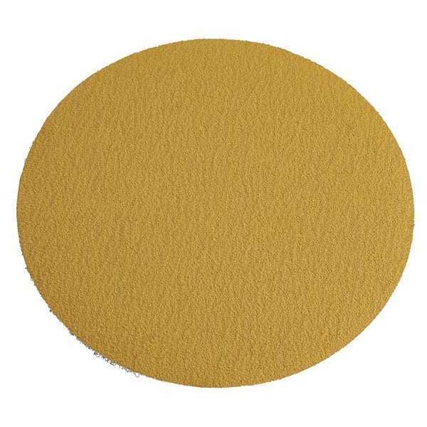 Film Disc, 6 in. Dia, Aluminum Oxide, PK75