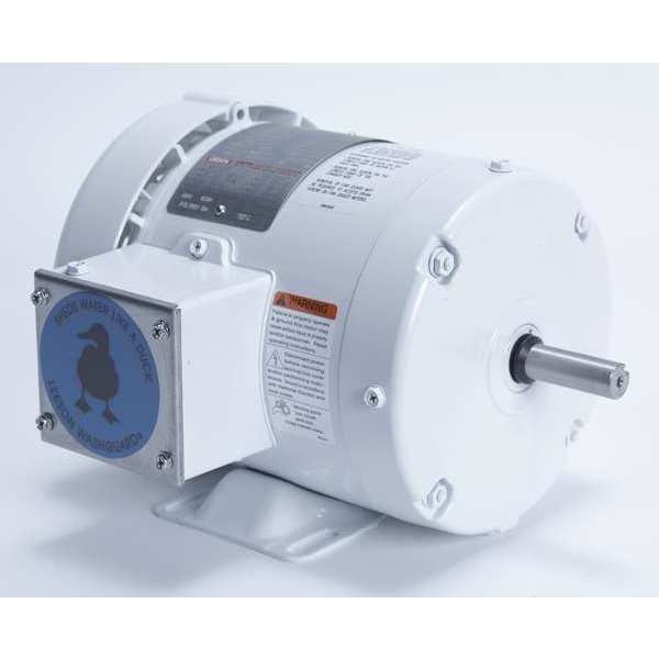 Washdown Motor, 1/2 HP, Rigid Base, CWSE